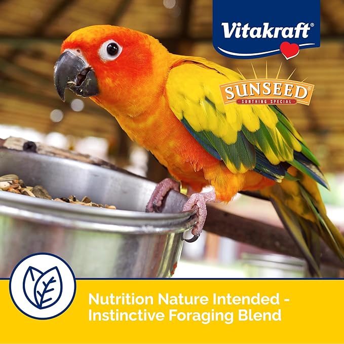 Sunseed Vita Prima Conure Food – Nutrient-Rich Blend with Fruits,Vegetables & Seeds Supports Healthy Feathers,Eyes & Active Energy – 3 lb Bag,(Pack of 2)
