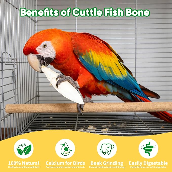 Amzey 12 Pack Cuttlebone for Birds, 4-6 Inches Sun-Dried 100% Natural Calcium Supplement, 100% Pure Cuttlefish Bone for Beak Trimming, Supports Healthy Bones, Feathers & Shells