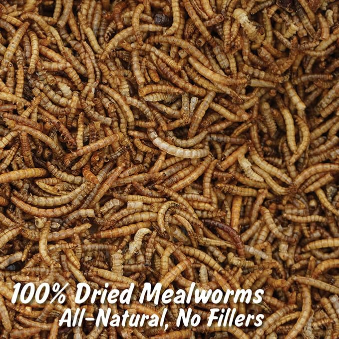 Mann Lake Wonder Grubs 5 lb 100% Non-GMO Dried High-Protein Mealworms for Chicken, Wild Bird, Duck, Fish, Reptiles, Tortoise, Amphibians, Lizard