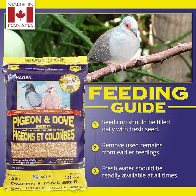 Hagen Pigeon & Dove Seed - Original Formula Bird Food, 6 lb Bag – Nutritionally Complete Seed Mix with Vitamins & Minerals – Wild & Captive Bird Diet – Insect-Resistant Air-Tight Packaging