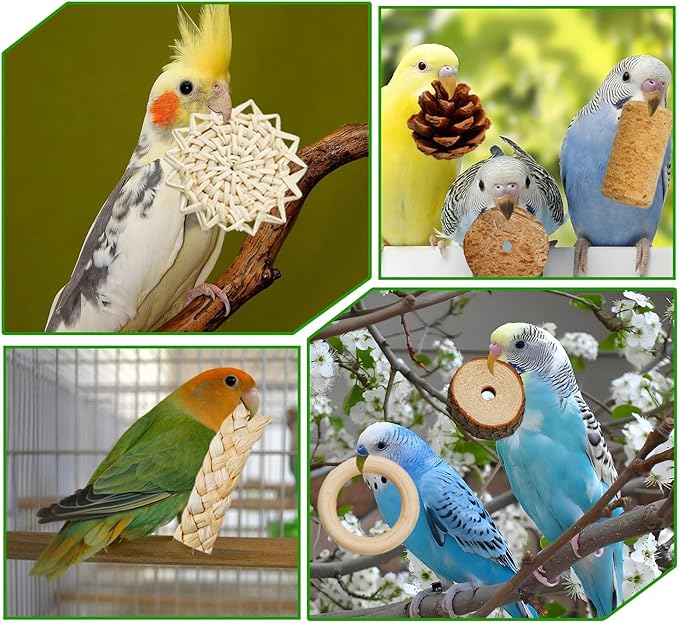 Bird Toys, Variety Natural Bird Foraging & Shredding Toys Boxes, Safe Parrot for Cockatiel ，Lovebird，Cockatoo，Macaw ，African Grey Parrot & Small Birds