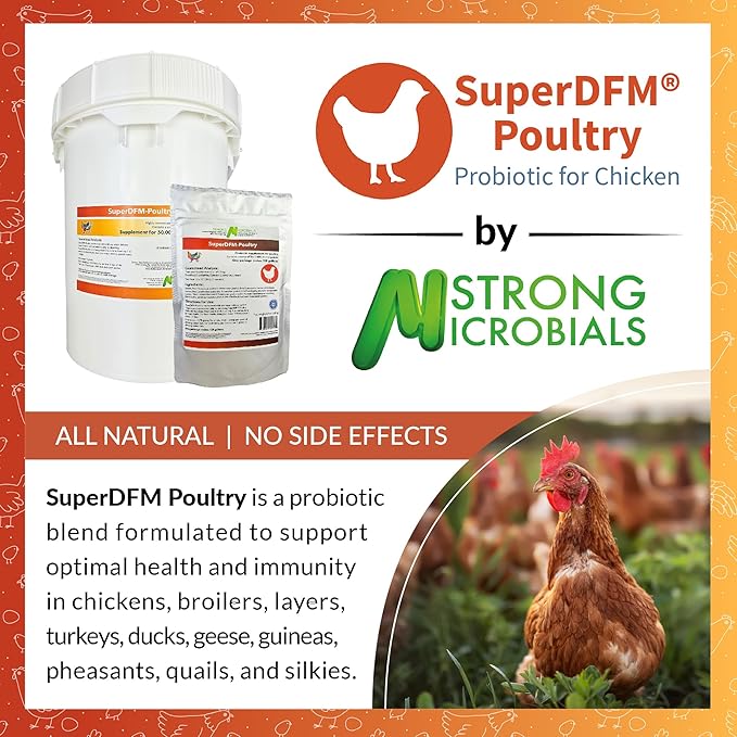 SuperDFM Poultry - All-Natural Probiotics for Chickens, Ducks, Quails & More - Commercial Poultry Supplements for Digestive & Immune Support - 50,000 Birds for 7 Weeks - 23.2 lbs