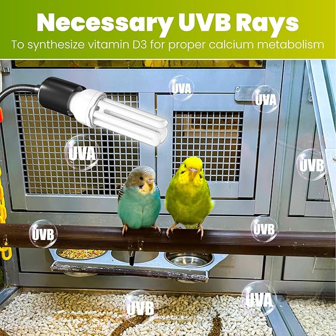 GlowUp Bird Cage Lighting Combo Kit, Clip Lamp with UVB 2.4 20W Compact Fluorescent Bulb for Bird, 360°Rotatable UVB Light for Captive Birds, Reptiles