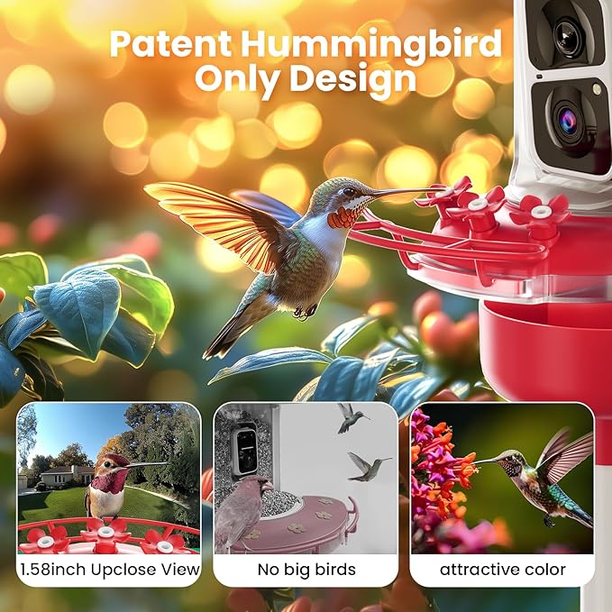 Soliom Hummingbird Feeder with Camera, Smart Feeder Camera with 2K Live View AI Identify, Leak Proof&Ant Moat&Bee Proof, Outdoor Pole/Hook Hanging, Ideal Gift for Family, 16 OZ with Solar Panel Red ﻿