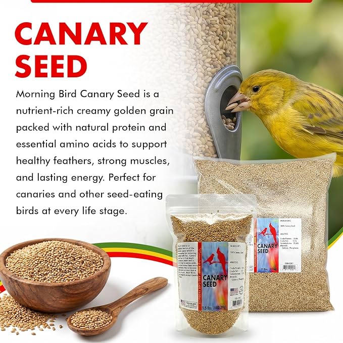 Morning Bird Canary Seed 4.5 lbs (3-Pack, 1.5 lbs Each), Nutrient-Rich Bird Seed, Creamy Golden Grain Powerhouse - Supports Healthy Feathers & Strong Bones – Natural Daily Nutrition for All Bird Types