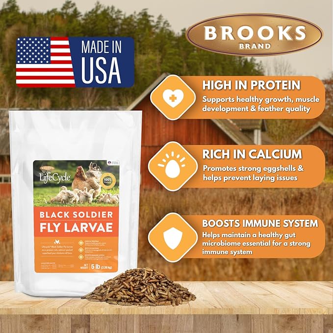 Brooks Brand Black Soldier Fly Larvae Chicken Treats, Mealworms Alternative, Grubs for Chickens, High Calcium for Laying Hens, Made in USA, 1.75 lbs