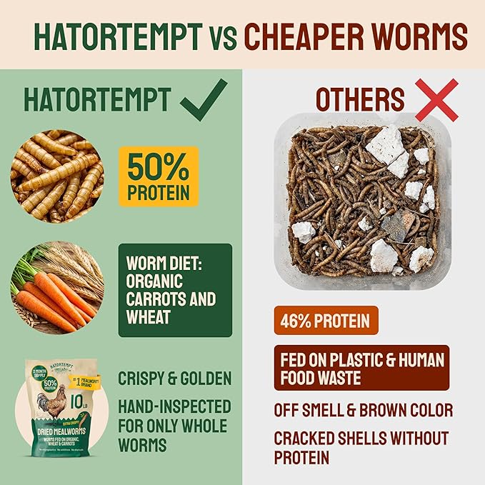 Hatortempt Bulk Dried Mealworms - 10 Lb Bag - Dried Mealworms for Chickens, Ducks & Wild Birds - High-Protein Chicken Feed & Bird Food