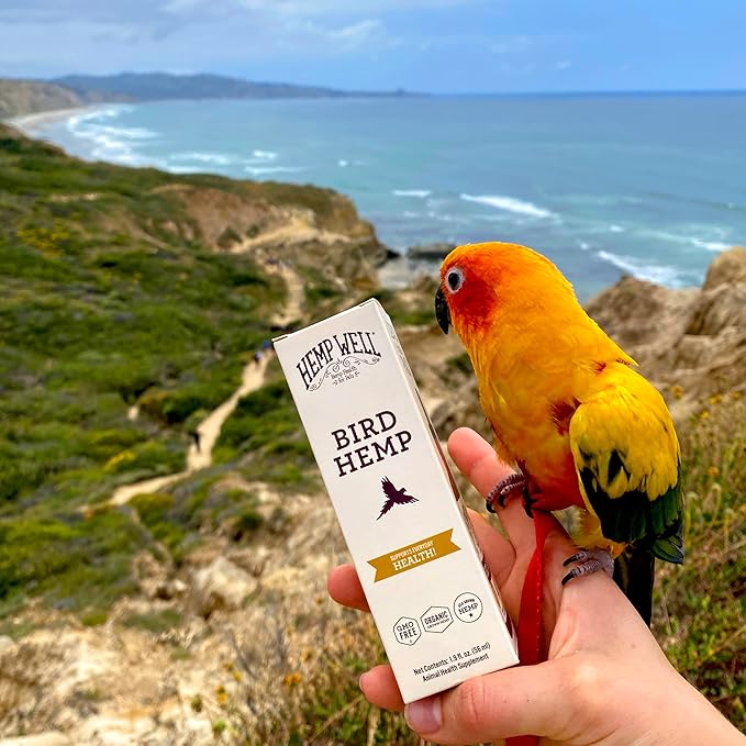 Organic Hemp Well Bird Hemp Oil – 2 Ounces. Parrot, Parakeet, Cockatiel and All Birds for Supporting Health, Feather Plucking, Destructive Behavior Reduction, Immune Support, and Relaxation.