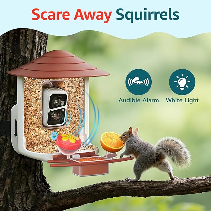 birdsnap® TUC Bird Feeder with Camera 2K HD Live with 32GB Card Auto Detect & Notify AI Identify Camera Birds Feeders Solar Powered Wireless Outdoors Backyard Gift for Mom Dad Birds Lover, 2.4G WiFi