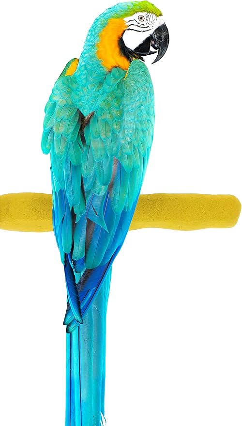 Sweet Feet and Beak Comfort Grip Safety Perch for Bird Cages - Pedicure Perch for Birds to Keep Nails and Beaks in Top Condition - Safe Easy to Install Bird Cage Accessories L 13" - Yellow
