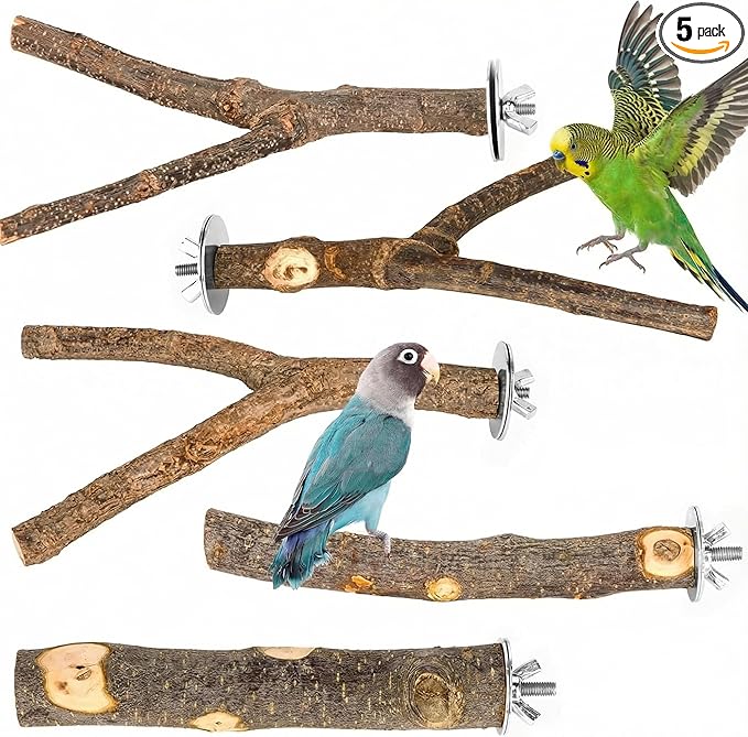 5PCS Natural Wood Bird Perch Set - Straight & Forked Branch Perches Cage Perches Accessories for Small Medium Birds, Parakeets, Budgies, Cockatiels, Conures