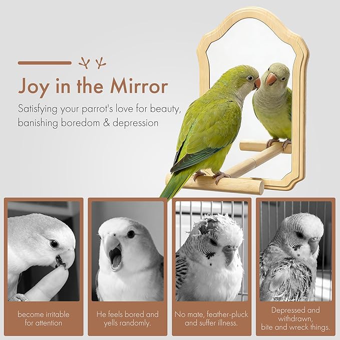 Parrot Mirror Toy with Natural Wood Perch | Fun Self-Entertainment for Birds | Prevent Boredom, Feather Plucking & Loud Calls | Acrylic Mirror and Wood Perch for Parakeets, Cockatiels, Lovebirds