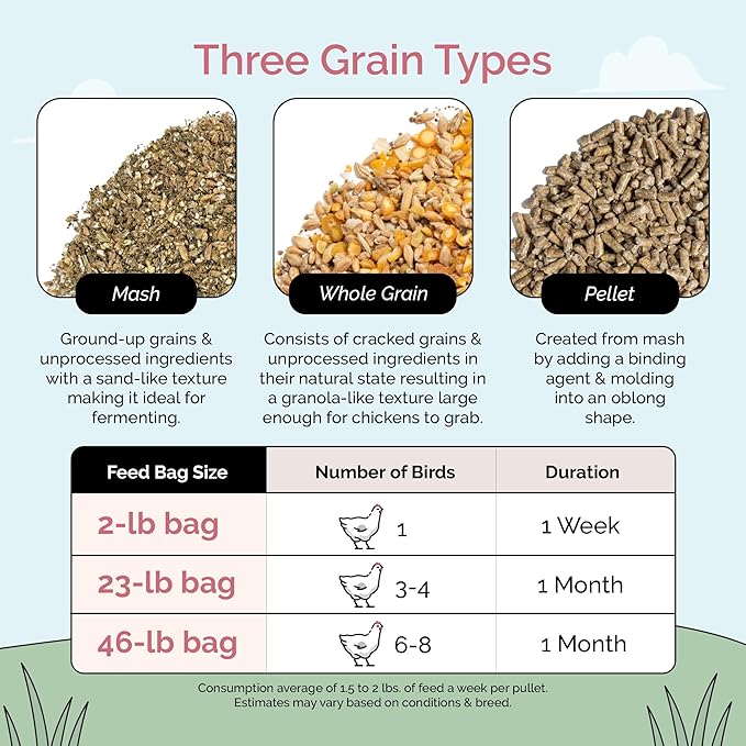 Mile Four Organic Chicken Feed – Layer Whole Grain, Non-GMO, USA Grown, 16% Protein, Corn-Free, Soy-Free, Non-Medicated Feed for Chickens, 2 lb Sample