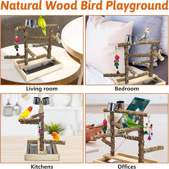 BNOSDM Natural Wood Bird Playground for Training & Playing, Parrot Perch Stand Jungle Gym with Detachable Tray & Stainless Feeder Cups Parakeet Cage Playstand for Budgie, Cockatiel, African Grey