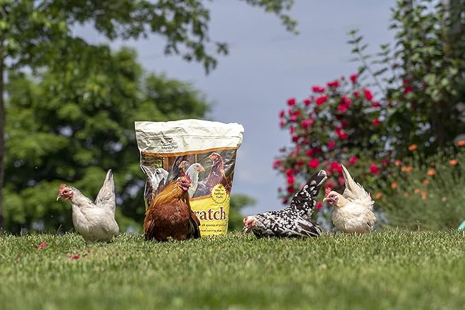 Manna Pro Ultimate Chicken Scratch Feed, Nutrient-Rich Scratch Grain Treat for Chickens and Poultry, Natural Multigrain Blend for Backyard Flocks and Laying Hens, Made in USA, 10 lb Bag