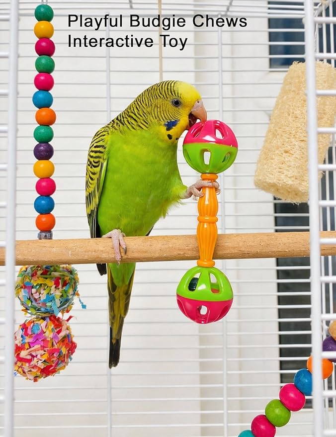 12 Pack Bird Toys for Small and Medium Parrots, Colorful Chew Bell Balls Foot Toys with Rattles for Parakeets Cockatiels Conures