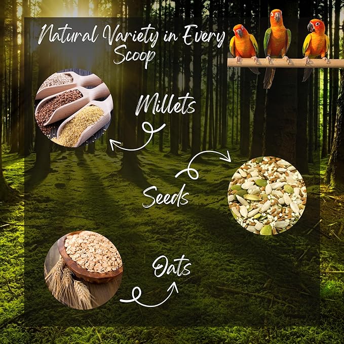 Danodia's Zoolulu Premium Conure Energy Millet Mix (950g/2 lbs) | Premium Bird Food Blend for Conures, Quakers, Cockatiels & Lovebirds | Daily Feeding Blend
