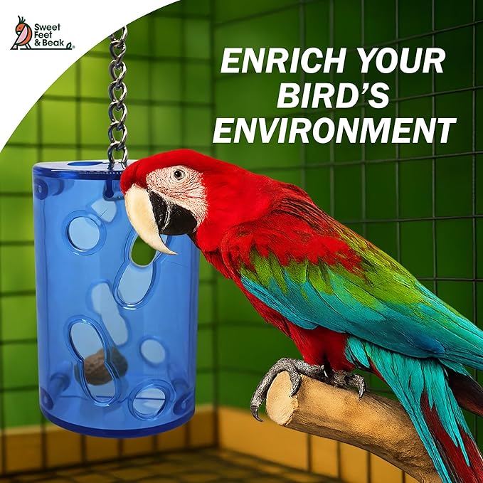 Sweet Feet and Beak Bird Proof Cockatiel Foraging Toys and Chewing Bird Toys for Parakeets – Refillable Plastic Container with Colorful Wooden Sticks – Durable & Small Size