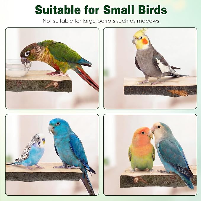Saillong 3 Pack Natural Wood Bird Perch, Parrot Platforms Stand, Comfortable Resting Perch for Eating, Drinking & Foot Health, Chewable Standing Cage Accessories, for Parakeet, Cockatiels, Lovebirds