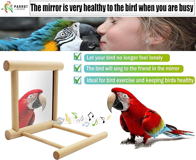 Blessed Family 2 Piece Bird Parakeet Mirror for Cage,Parrot Perch Stand,Wooden Hummingbird Swing Toy,Parakeet Accessories for Cockatiels Conure Finch Lovebird Canary African Grey Macaw