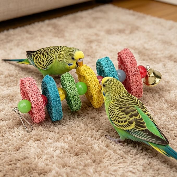 Hypeety Bird Toys Parrot Hanging Chew Toys Natural Colorful Loofah Shred and Preen Swing Bird Bell Cage Parrot Toys