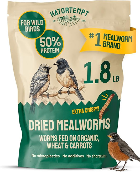 Hatortempt Dried Mealworms for Wild Birds - 1.8 Lb Bag - Bluebird Food - High-Protein Meal Worms for Blue Birds, Robins and Chickadees