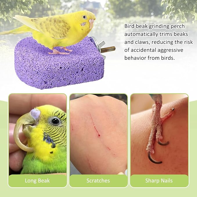 BNOSDM 4 Pcs Bird Beak Grinding Stone Chew Toy Parrot Calcium Perch Bird Stand Platform Parakeet Cage Accessories for Budgies, Cockatiels, Conures, Lovebirds, Finch (Purple)