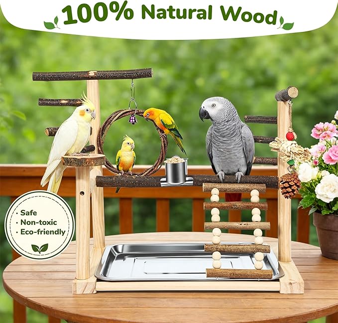 Bird Playground,Parrot Stand with Feeding Cup, Swing, Chew Toys,Removable Tray,Suitable for Small to Medium Birds, Ideal Perch for Budgerigars, Parakeets,Cockatiels