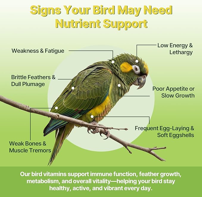 Bird Vitamins for All Cage Birds - Multi-Vitamin for Birds - Supports Bones, Feathers, Energy & Eggshell Quality - Vet-Developed Formula, Dissolves in Water for Easy Daily Use - Net Wt 6.35 oz