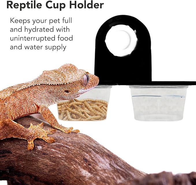 Crested Gecko Dual Feeding Ledge, Space Saving, Maximizes Floor Area, Feed Betta Fish Bloodworm, Window Bird Feeder, 20 Reusable Transparent Food and Water Cups