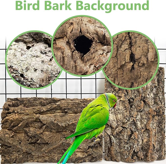 Cork Bark Perch for Birds 16"X12" Natural Cork Chewing Toy 2 PCS Flat Budgies Bark Seat Board Wood Bark Background Decor Panel Birdcage Accessories for Parakeet Lovebirds Cockatiels Conures