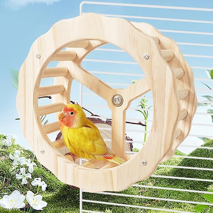 Bird Stand Perch Toy,Interactive Rocking Parakeet Toy and Perch, Wooden Exercise Wheel Cockatiel Toy, Intelligence Puzzle Enrichment Toys,Bird Playground Play Stands for Conure Budgie(D)