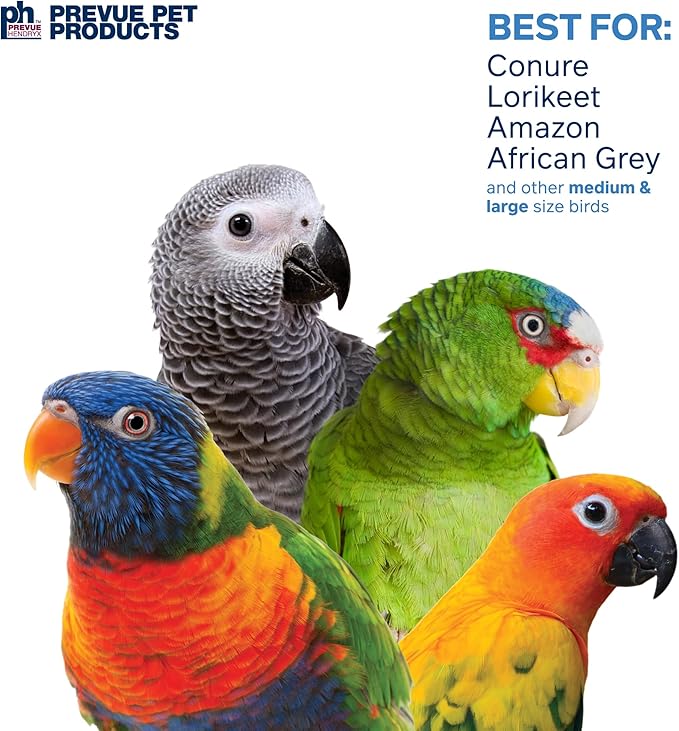 Prevue Pet Products Loops 'n Rings Playfuls Physical & Mental Bird Toy - Accessories for Parrots, Conures, African Greys, Amazons, and Medium to Large Birds, Hanging Cage Toy for Shredding & Chewing