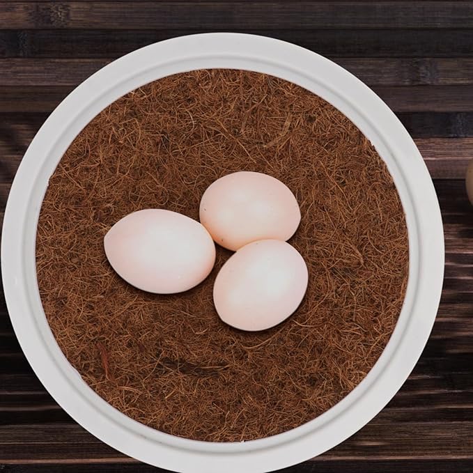 Toddmomy 2 Sets Pigeon Nest Egg Nest Dove Mat Birds Cages Parakeet Bird Cage White Plastic Eggs Coir