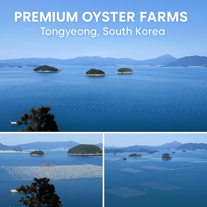 | Oyster Shell Flour 1lb – Finely Ground Calcium Material for Chickens, Ducks, Birds, Reptiles, Amphibians, and More – Crushed Oyster Shell Alternative | 굴껍질가루 (1lb)