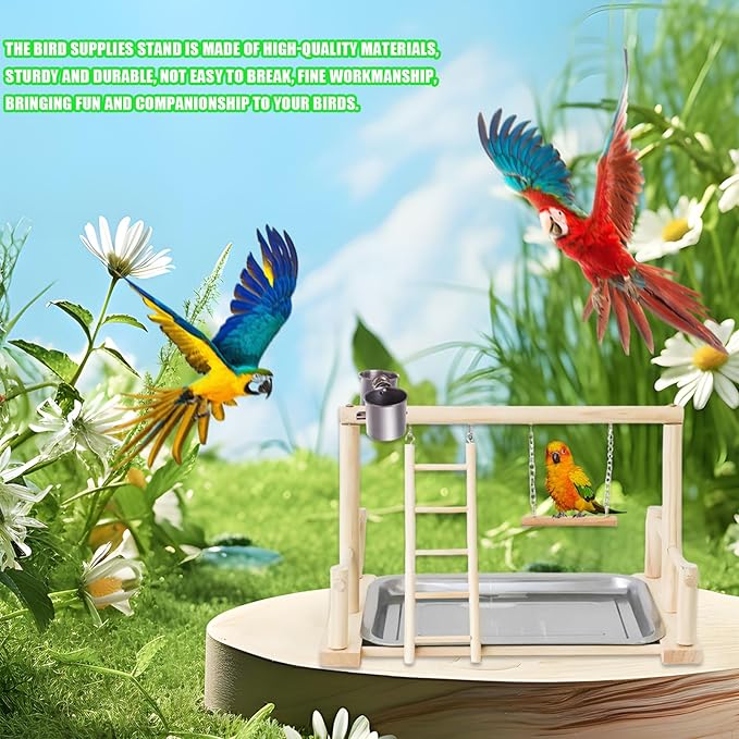 Bird Playground, Natural Wood Bird Perch Stand with Removable Tray and 2 Stainless Steel Feeder Cups, Parrot Playstand Bird Cage Toys for Conure Parakeet Cockatiel Parrot (B)