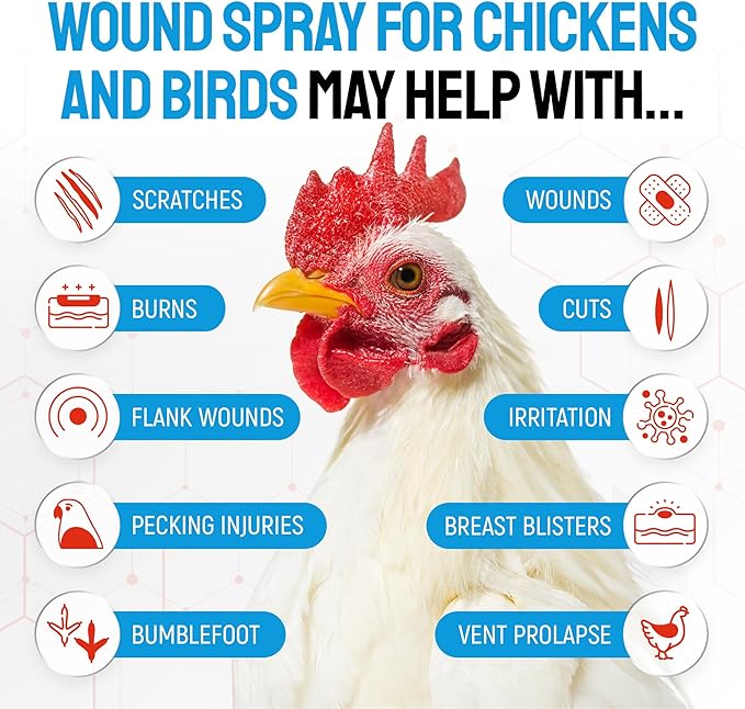 SILVER GRADE Wound Spray for Chicken – Birds & Chicken Antibiotics Alternative to Help with Pecking Sores, Bumblefoot, Cuts – Poultry Spray with Silver – GMOs Free – 4-Oz Bottle