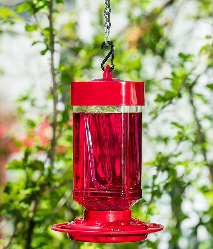 First Nature, 32oz. Hummingbird Square Bee Proof Feeder, Economical 32 Oz Bottle: Makes Up to 128 Oz of Nectar When Mixed with Water, 993055-306