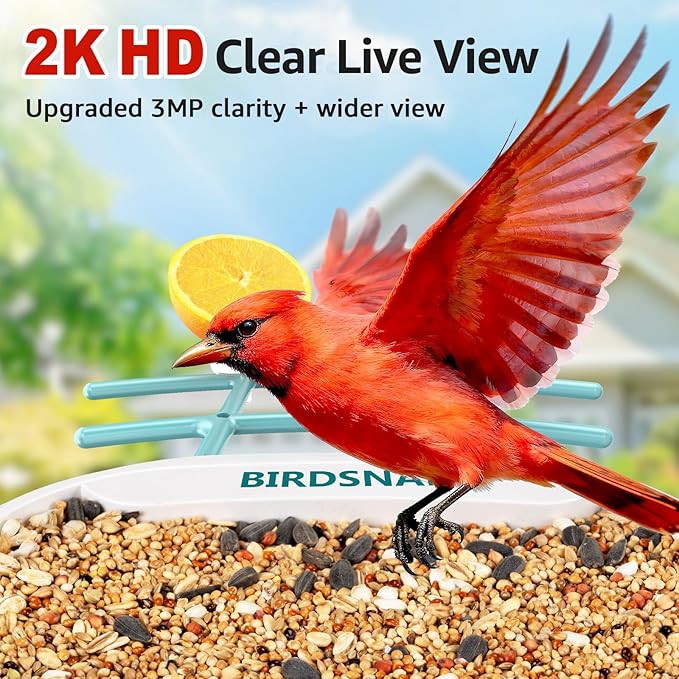birdsnap® TUC Bird Feeder with Camera 2K HD Live with 32GB Card Auto Detect & Notify AI Identify Camera Birds Feeders Solar Powered Wireless Outdoors Backyard Gift for Mom Dad Birds Lover, 2.4G WiFi