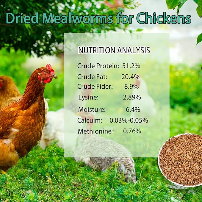 KAYHEN Dried Mealworms for Chickens 10LB Pure Natural Non-GMO High Protein Feed Meal Worms for Laying Hens Wild Birds