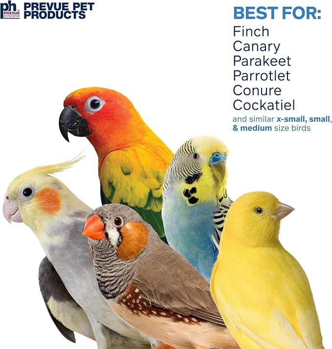 Prevue Pet Products Plucky Pyramid - Playfuls Forage & Engage Bird Toy 60244 (Pack of 2)