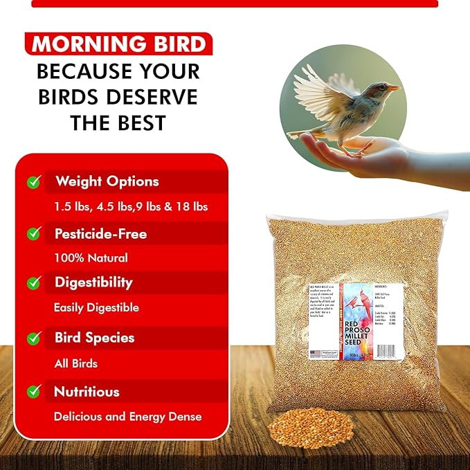 Morning Bird Red Proso Millet 9 lbs – Natural Bird Seed – Supports Feather Growth & Balanced Nutrition – Great Flavor, Energy Dense - Ideal for Finches, Parakeets & Pet Birds