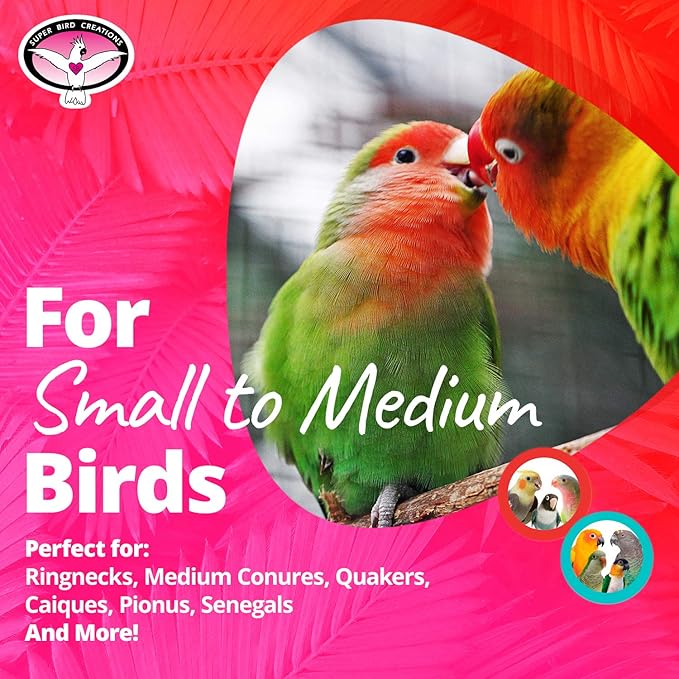 Super Bird Creations SB949 Pickin' Pocket - Ideal for Small to Medium Birds - Fun & Entertaining Foraging Bird Toy - Pickin’ Pocket Design - Bird Safe Component - 5” x 3” x 7.5”