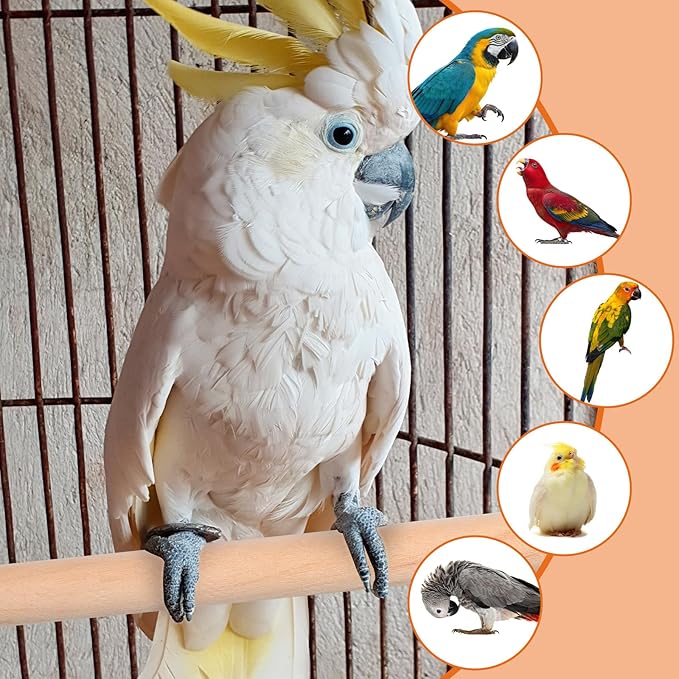 2PCS Bird Perches for Cage Wooden Parrot Perch Stand, Parrot Perches Toys Wood Perch with Different Widths Bird Cage Toys Cages Accessories for Macaws, Small Parakeets, Conures, Budgies, Finches