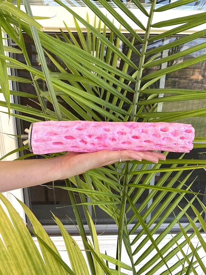 Tooty Fruity Bee Pollen Large Watermelon…