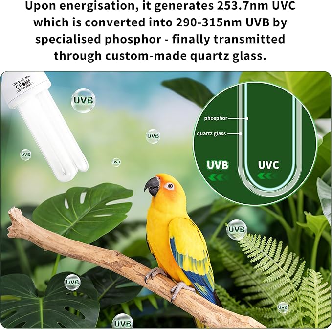 Bird Cage UVB Light Combo Kit, Avian Sun Lamp 2.4% UVB UVA 20W Compact Fluorescent Bulb for All Kinds Captive Birds, 2 Bulbs Included