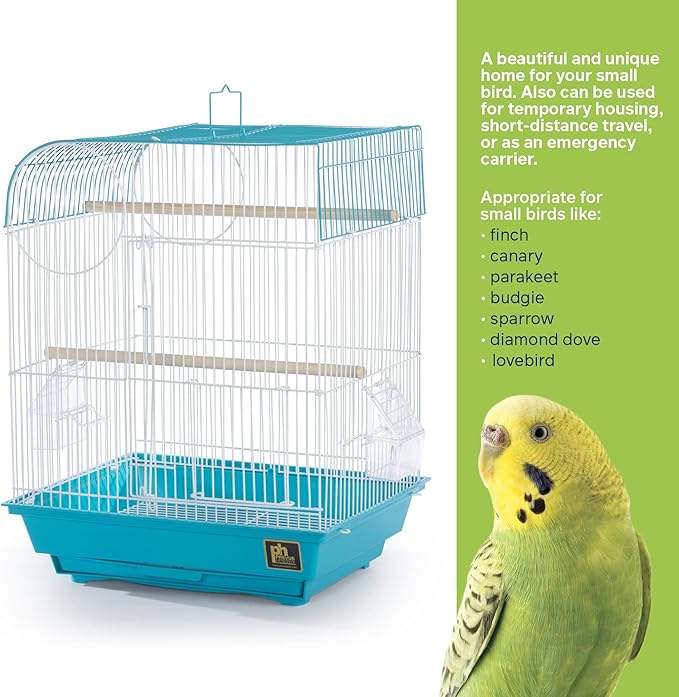 Prevue Pet Products South Beach Flat Top Bird Cage - Ideal for Finches, Canaries, Budgies, and Similarly Sized Birds, Minimal Assembly, Made of Powder-Coated Steel Wire Mesh - Teal
