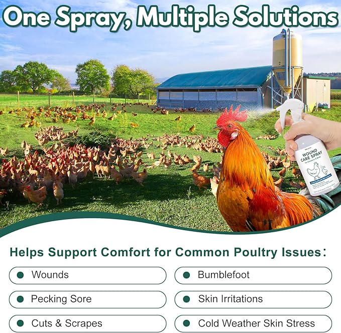 Wound Spray for Chickens and Birds, Poultry Care Spray for Pecking Sores, Bumblefoot, Vent Prolapse, Cuts, Burns & Skin Irritations, Safe for Egg-Laying Hens, Natural Herbal Formula, 8.45 Fl Oz