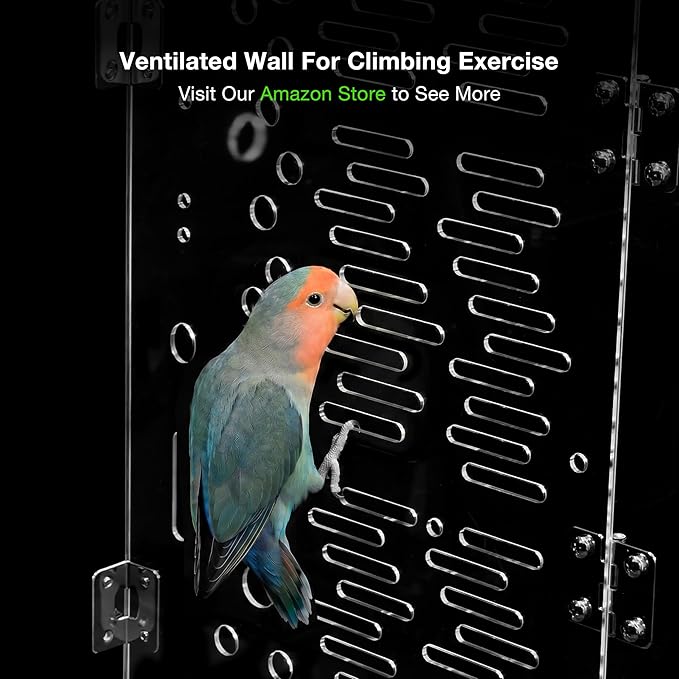 GuineaLoft™ Model-ET223 Acrylic Bird Cage – 2×2×3 ft Mid-Sized Tall Cage, Crystal Clear, Stainless Steel Mesh Top & Bottom, Dual Side Doors, Reusable Canvas Bottom – Visit the GuineaLoft Store