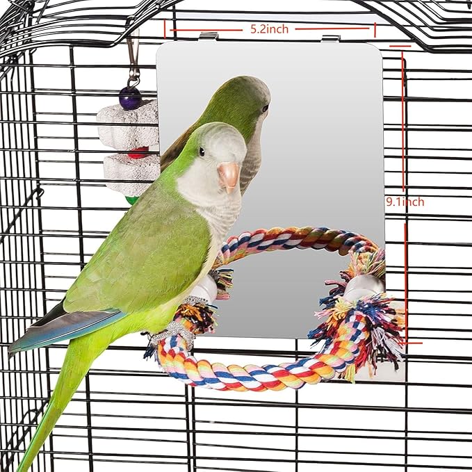 Colorday 7" Bird Mirror for cage with Rope Perch, Bird Swing, Parrot Cage Toy for Parakeet Budgie African Grey Conure Cockatiel Lovebird Finch Canarie, Medium